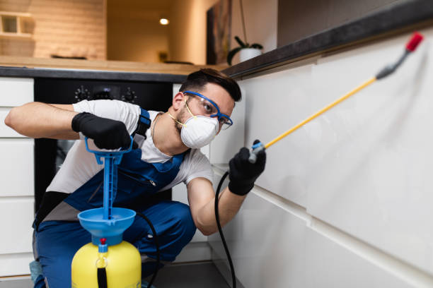 Flea Control Services in New Fairview, TX