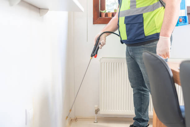 Best Rat Extermination Near Me  in New Fairview, TX