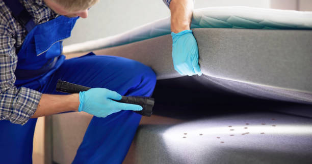 Best Pest Control Cost  in New Fairview, TX