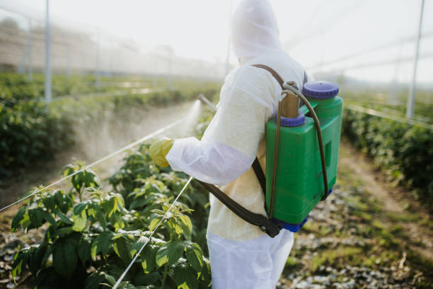 Best Insect Control  in New Fairview, TX